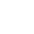 Icône instagram